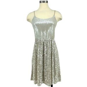 EXPRESS Matte Silver Sequin Cocktail Dress